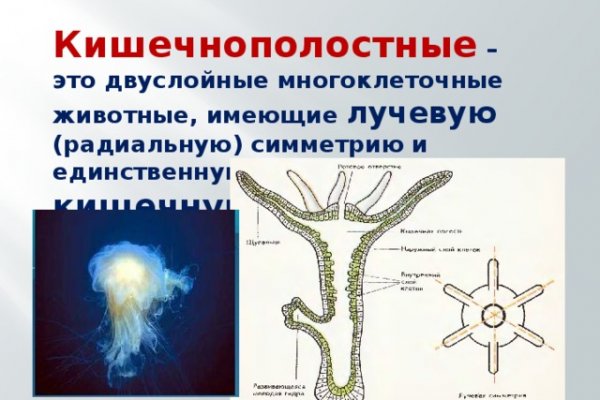 Кракен онион kraken014 com