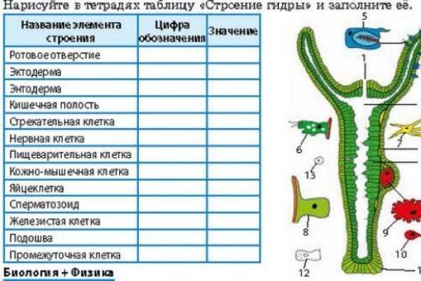 Как найти сайт кракен